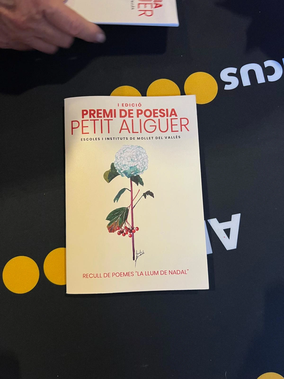 IV Premi de Poesia Joan Aliguer 2025 - 7